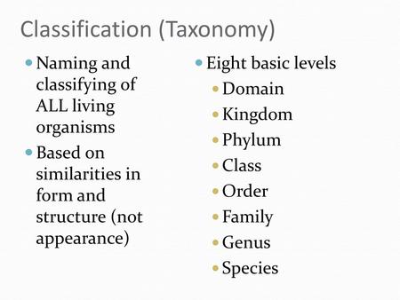 Classification (Taxonomy)