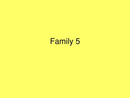 Family 5.