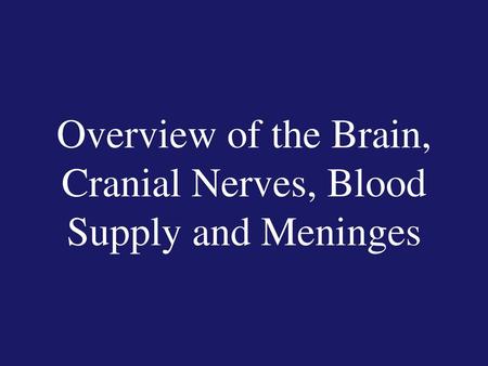 Overview of the Brain, Cranial Nerves, Blood Supply and Meninges