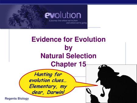 Evidence for Evolution by Natural Selection Chapter 15