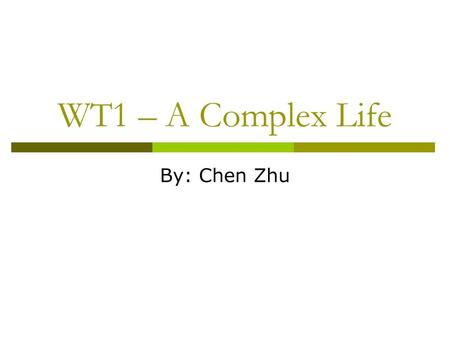 WT1 – A Complex Life By: Chen Zhu.