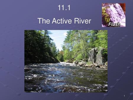 11.1 The Active River.