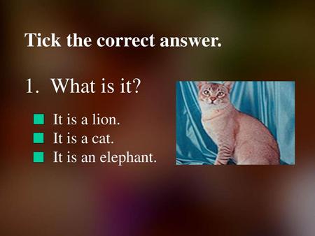 1. What is it? Tick the correct answer. It is a lion. It is a cat.