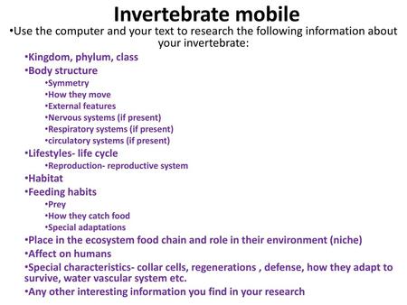 Invertebrate mobile Use the computer and your text to research the following information about your invertebrate: Kingdom, phylum, class Body structure.