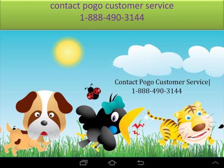 contact pogo customer service