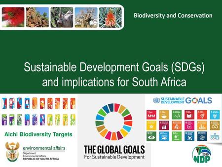 Sustainable Development Goals (SDGs) and implications for South Africa