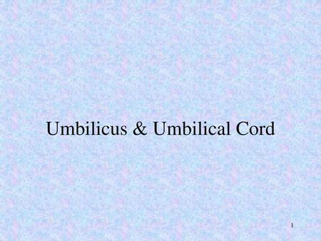 Umbilicus & Umbilical Cord