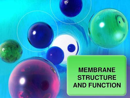 MEMBRANE STRUCTURE AND FUNCTION