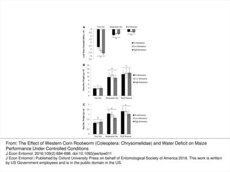 Fig. 1. Average leaf water potential ( A ), shoot dry weight ( B ), and root dry weight ( C ) of maize plants infested with western corn rootworm neonate.