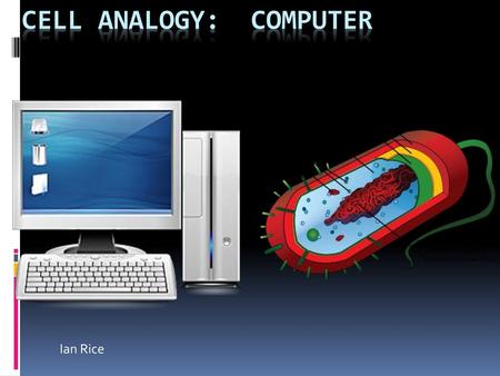 Cell Analogy: Computer