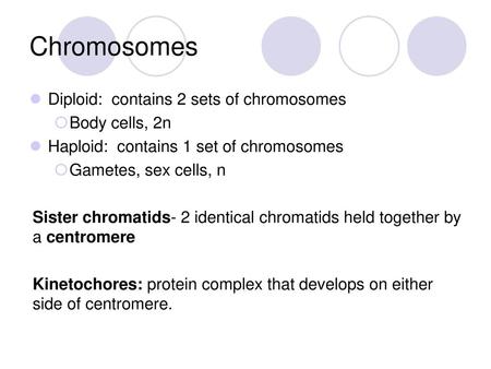 Chromosomes Diploid: contains 2 sets of chromosomes Body cells, 2n