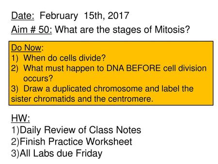 Aim # 50: What are the stages of Mitosis?