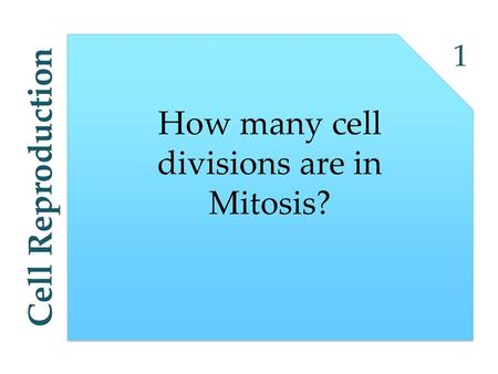 How many cell divisions are in Mitosis?