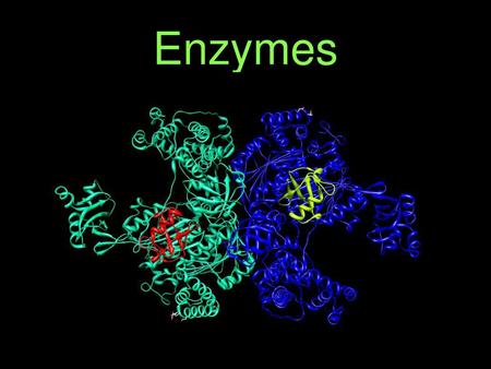 Enzymes.