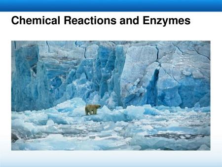 Chemical Reactions and Enzymes