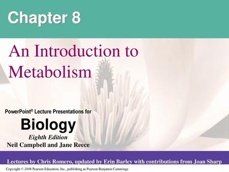 An Introduction to Metabolism