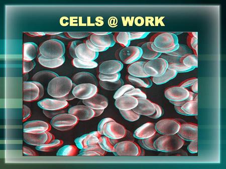 CELLS @ WORK.