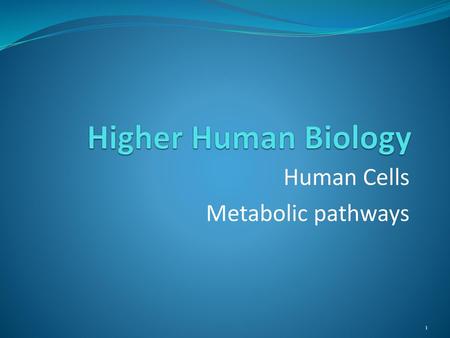 Human Cells Metabolic pathways