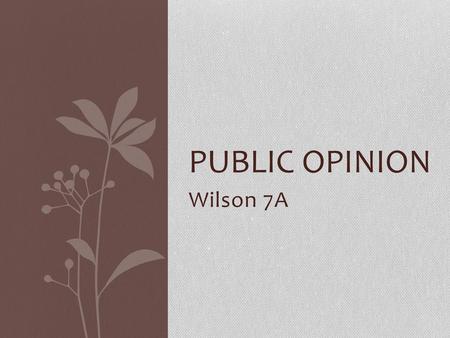 Public Opinion Wilson 7A.