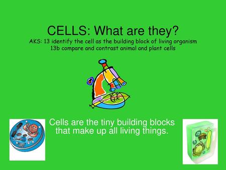 Cells are the tiny building blocks that make up all living things.