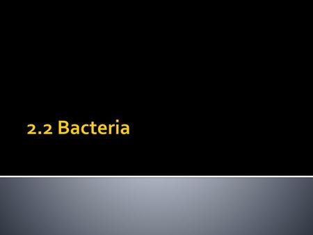 2.2 Bacteria.