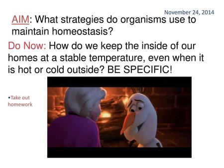 AIM: What strategies do organisms use to maintain homeostasis?