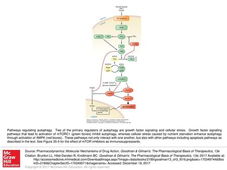 Pathways regulating autophagy