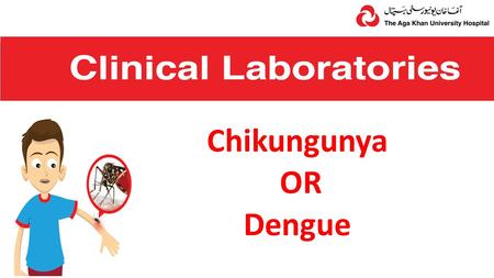 Chikungunya OR Dengue. We Can Tell You If It’s Chikungunya or Dengue BEWARE! Chikungunya and Dengue symptoms are similar.