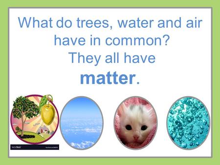 What do trees, water and air have in common? They all have matter.