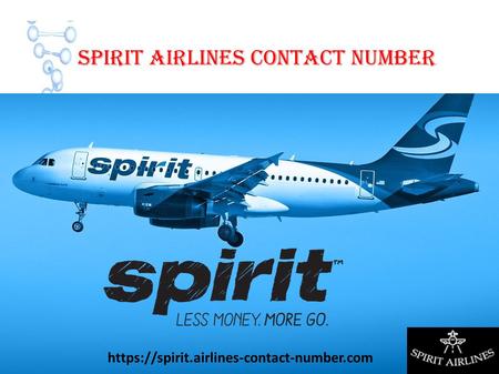 Spirit Airlines Contact Number