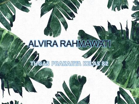 FILE PP ALVIRA RAHMAWATI 82