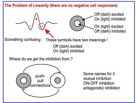 3) determine motion and sound perceptions.