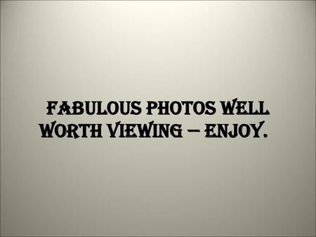 Fabulous photos well worth viewing -- enjoy.