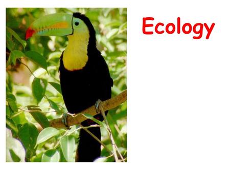 Ecology.