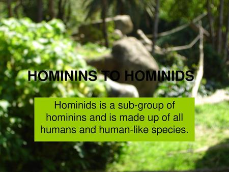 HOMININS TO HOMINIDS Hominids is a sub-group of hominins and is made up of all humans and human-like species.