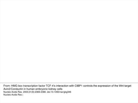 Figure 6. CtBP1 down‐regulates the expression of Axin2 in 293 cells