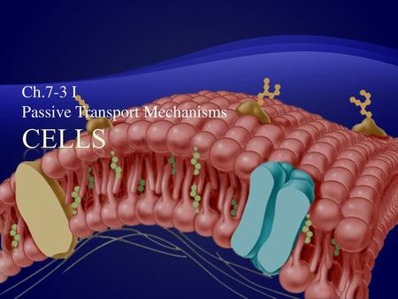 Ch.7-3 I Passive Transport Mechanisms