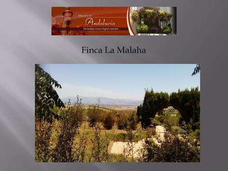 Finca La Malaha.