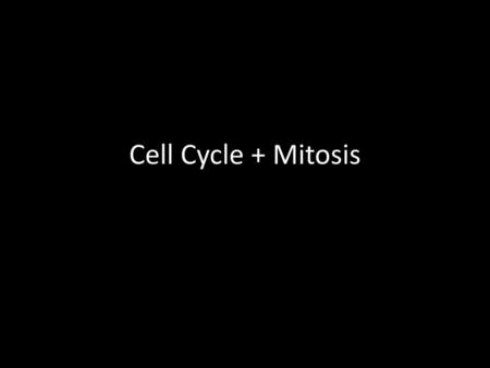 Cell Cycle + Mitosis.