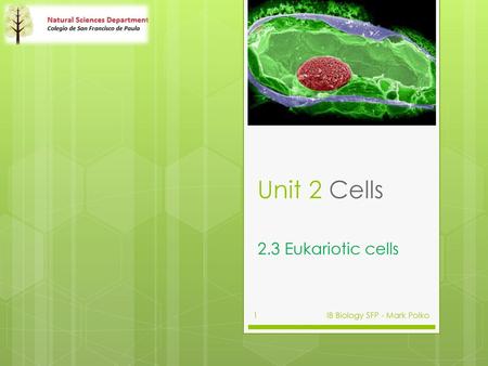 Unit 2 Cells 2.3 Eukariotic cells IB Biology SFP - Mark Polko.