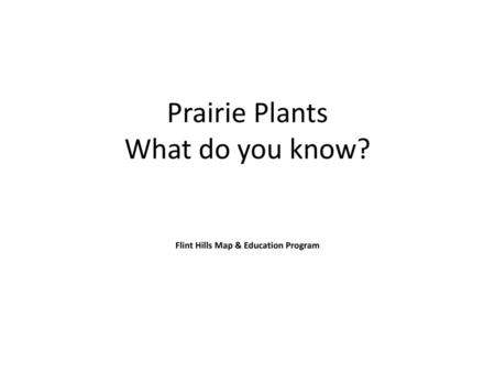 Prairie Plants What do you know? Flint Hills Map & Education Program