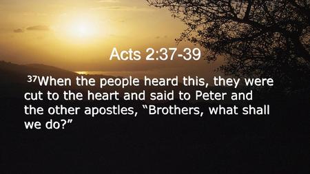 Acts 2:37-39 37When the people heard this, they were cut to the heart and said to Peter and the other apostles, “Brothers, what shall we do?”