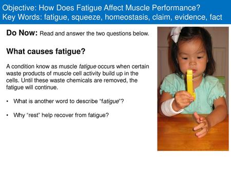 Do Now: Read and answer the two questions below. What causes fatigue?