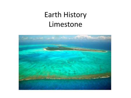 Earth History Limestone