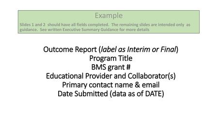 Example Slides 1 and 2  should have all fields completed.  The remaining slides are intended only  as guidance.  See written Executive Summary Guidance.