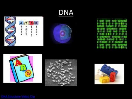 DNA DNA Structure Video Clip