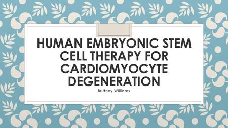 Human Embryonic Stem Cell Therapy for Cardiomyocyte Degeneration