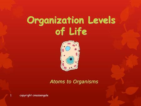 Organization Levels of Life