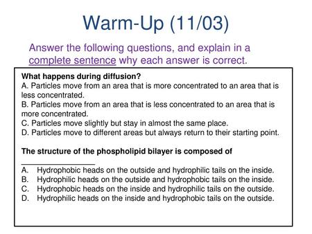 Warm-Up (11/03) Answer the following questions, and explain in a complete sentence why each answer is correct. What happens during diffusion? A. Particles.