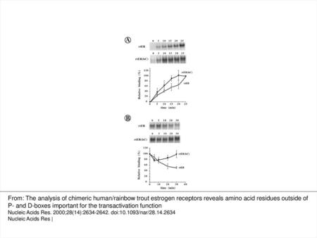 Figure 3. Kinetics effects of the C domain on ER–EREc binding